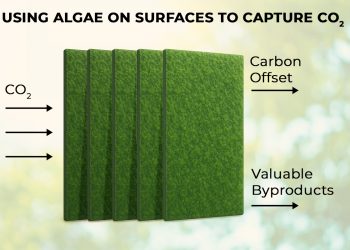 Economics matters in carbon removal: High-preforming carbon removal technologies delivering true long-term value creation