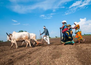 Indigenous land: The climate future lives here